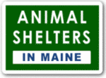 animal shelters and rescure groups